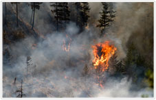 img_fire_smoke