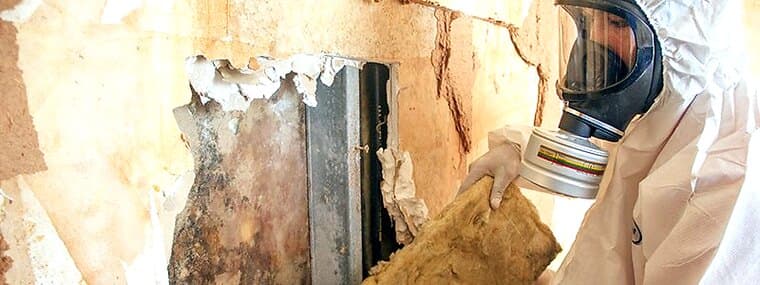 How to Remove and Prevent Mould in Singapore: Walls, Ceilings and Wardrobes photo