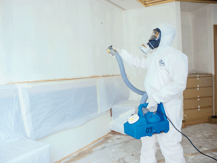 Odour Removal & Deodorisation project photo 2