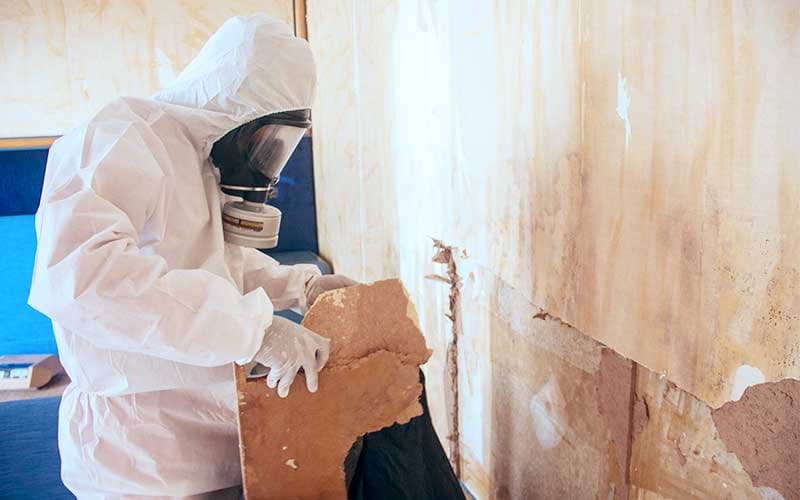 Mould Removal Singapore project photo 3