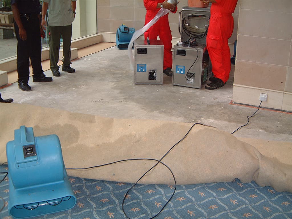 Water-Damaged Carpet Restoration project photo 1