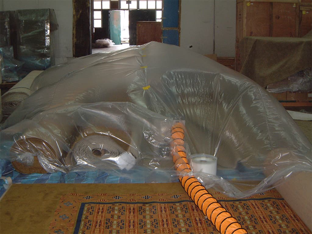 Water-Damaged Carpet Restoration project photo