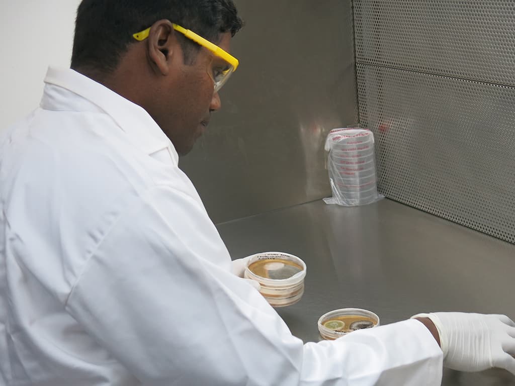 Indoor Air Quality Testing & Assessment project photo 2