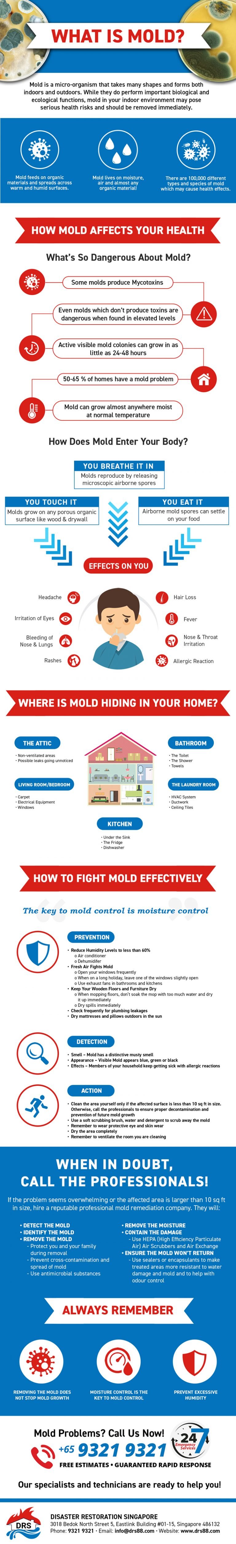 What is Mold? - An Infographic